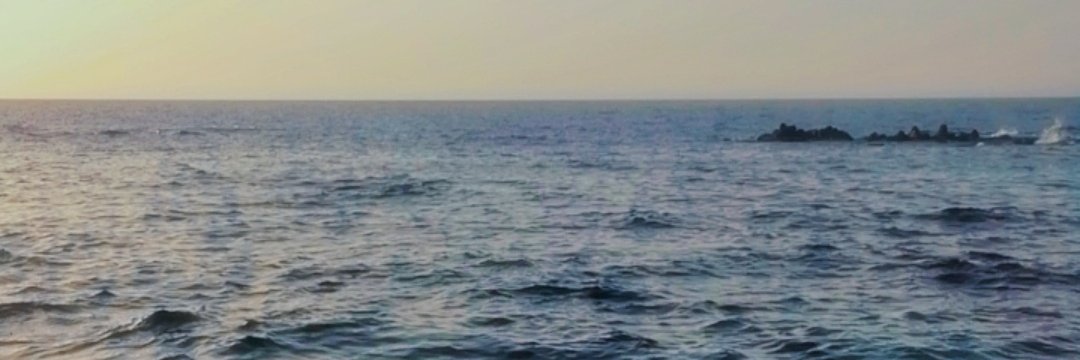 أسامة's banner
