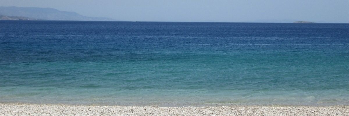 Oana 🌐's banner