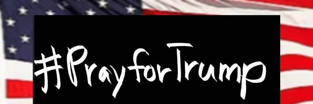 Cat 🇺🇸🏴󠁧󠁢󠁳󠁣󠁴󠁿🇺🇸's banner