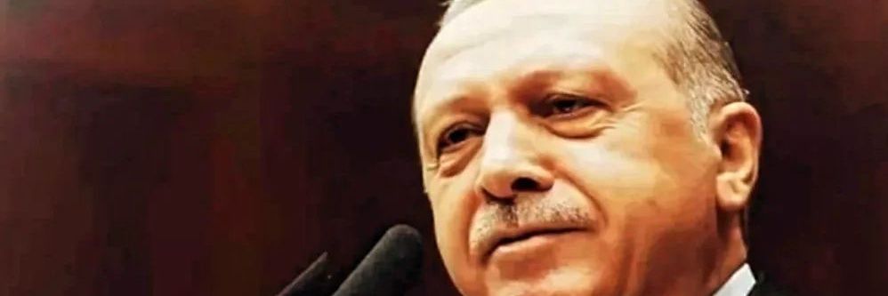 aysegul🌺's banner