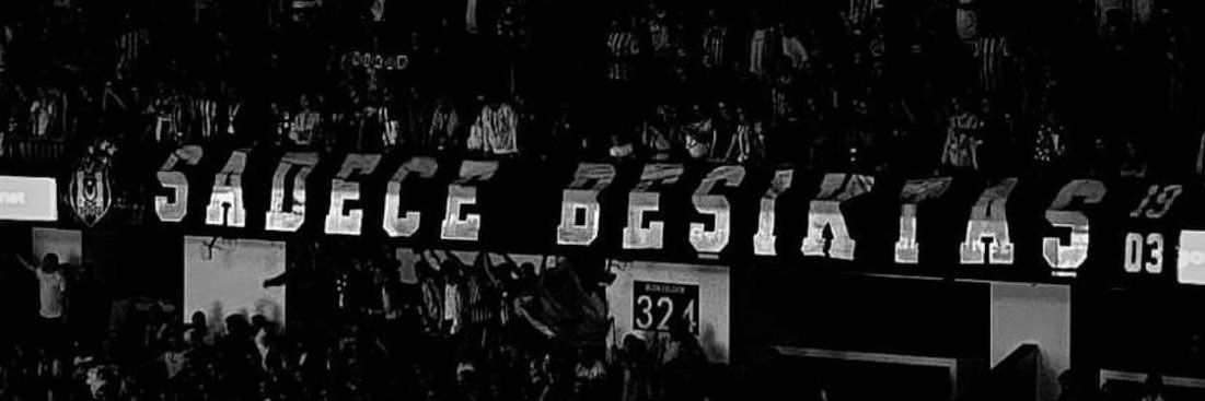 elif's banner