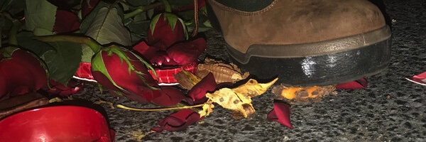 ᅠ's banner