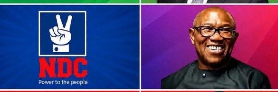 amy's banner