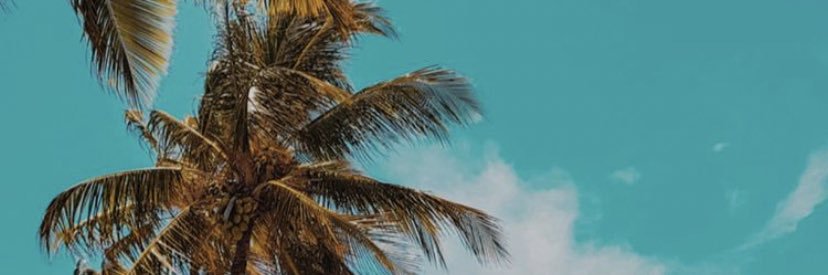 -Jccer's banner