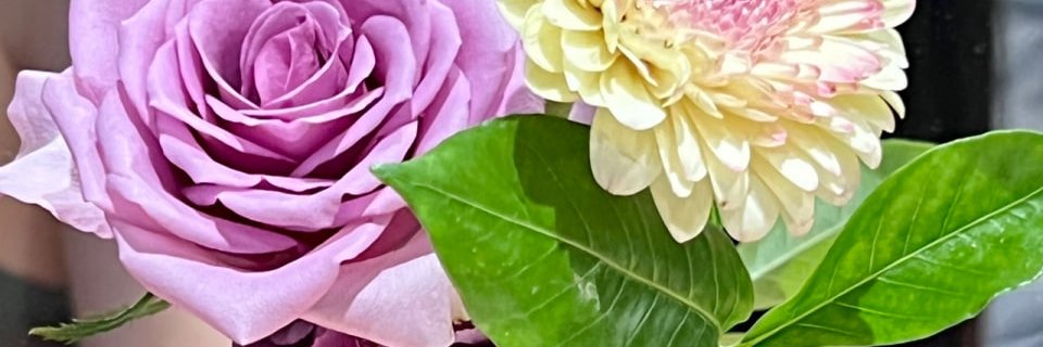 今天想喝萍果汁嗎❓🍎萍萍⚜'s banner