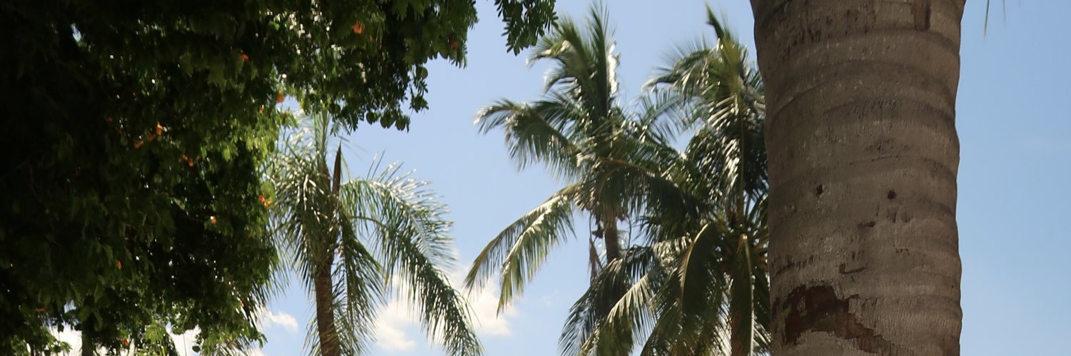 Nathalia Valente's banner