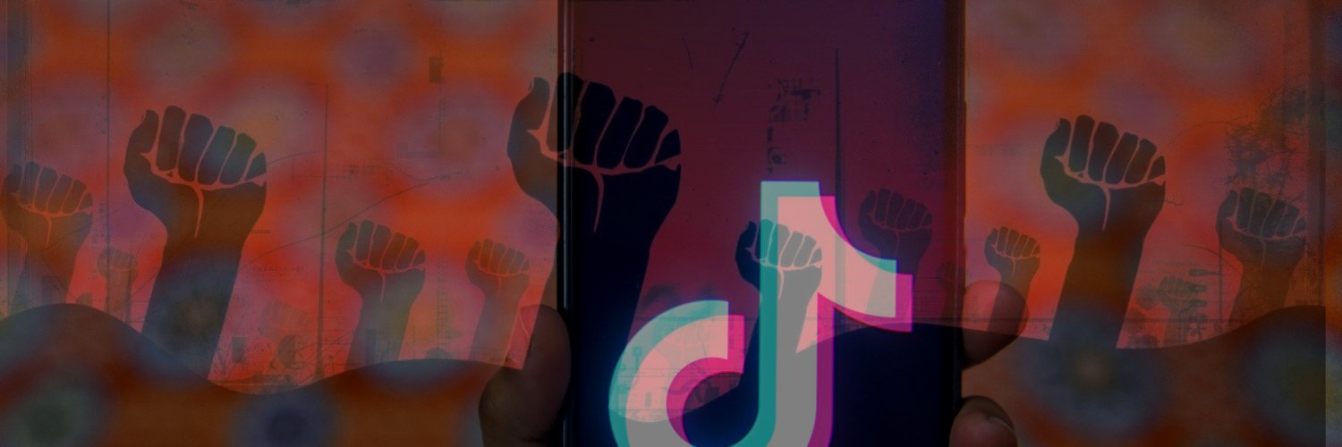 Libs of TikTok (but good)'s banner