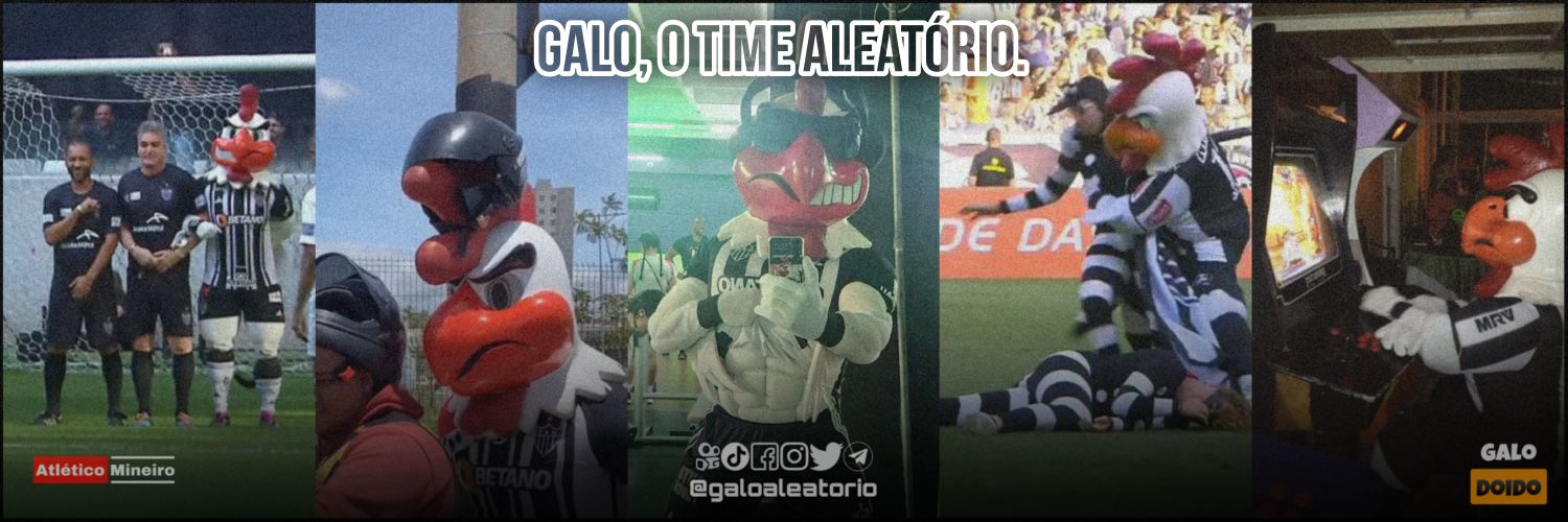 Galo, o time aleatório.🐔's banner