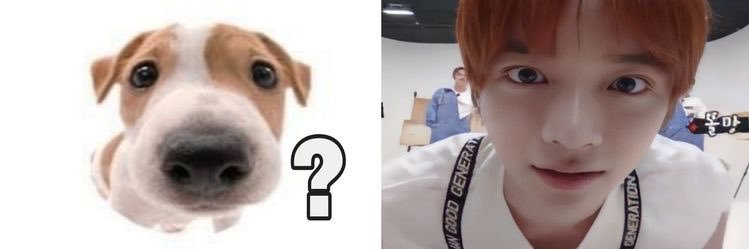sofi 🧸's banner