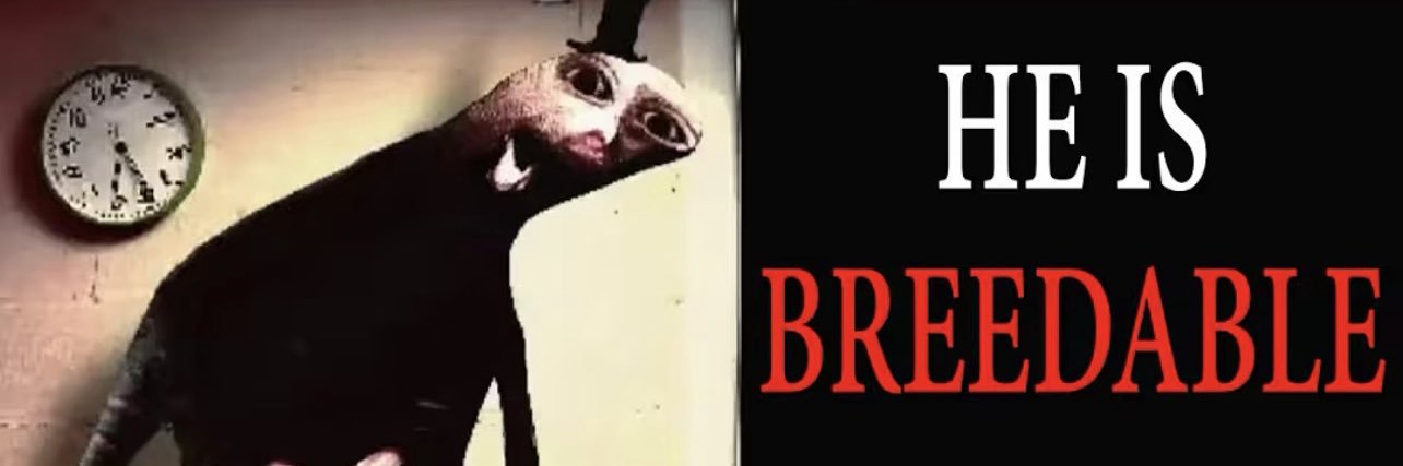 Smokee's banner