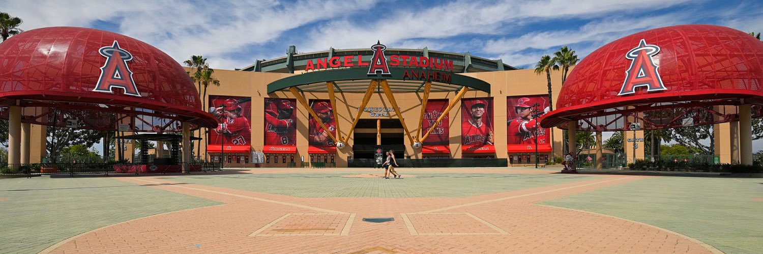 Jeimer Candelario's banner