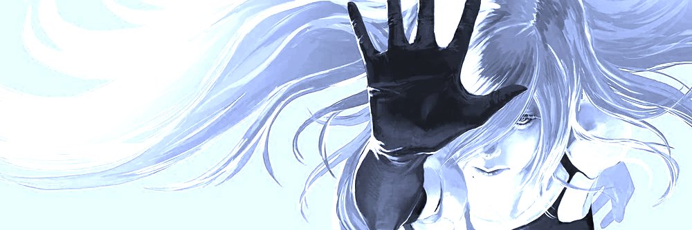 nier's banner