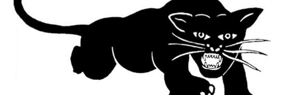 M.O.N.E.Y's banner