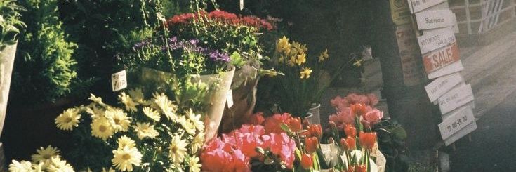 Efuli's banner