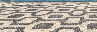 SN Z's banner