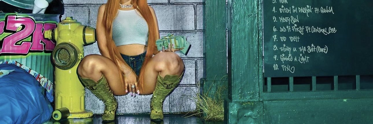 icespicefart's banner