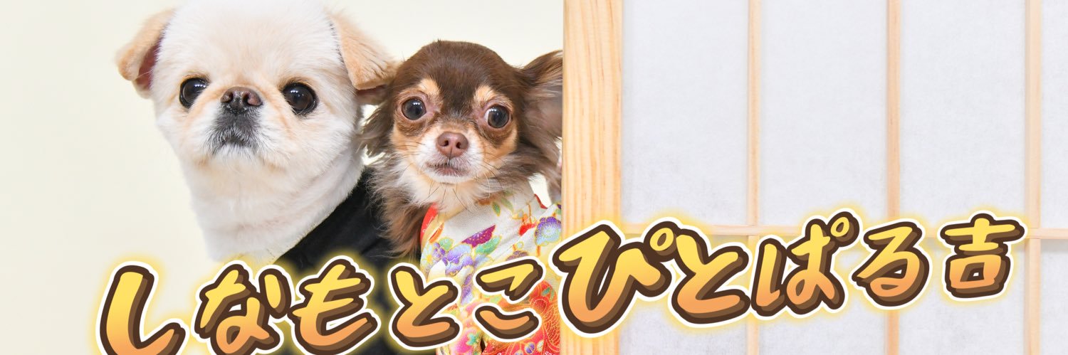 こぴぱる's banner