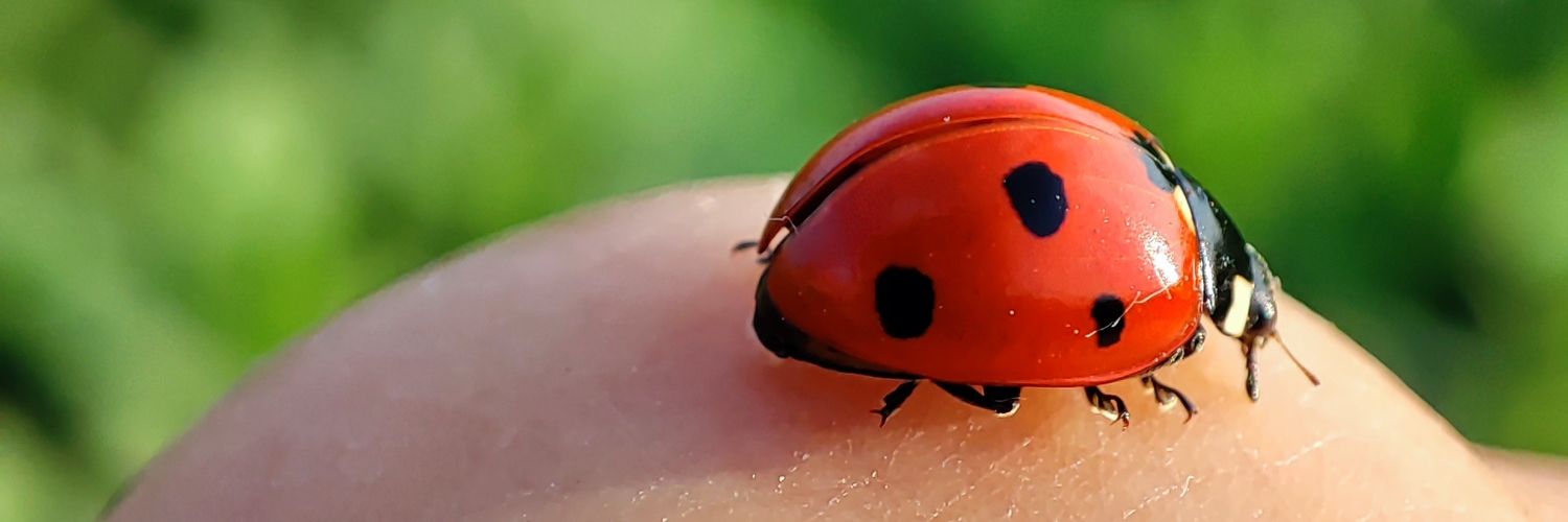 عکاس خیابانی🐞's banner