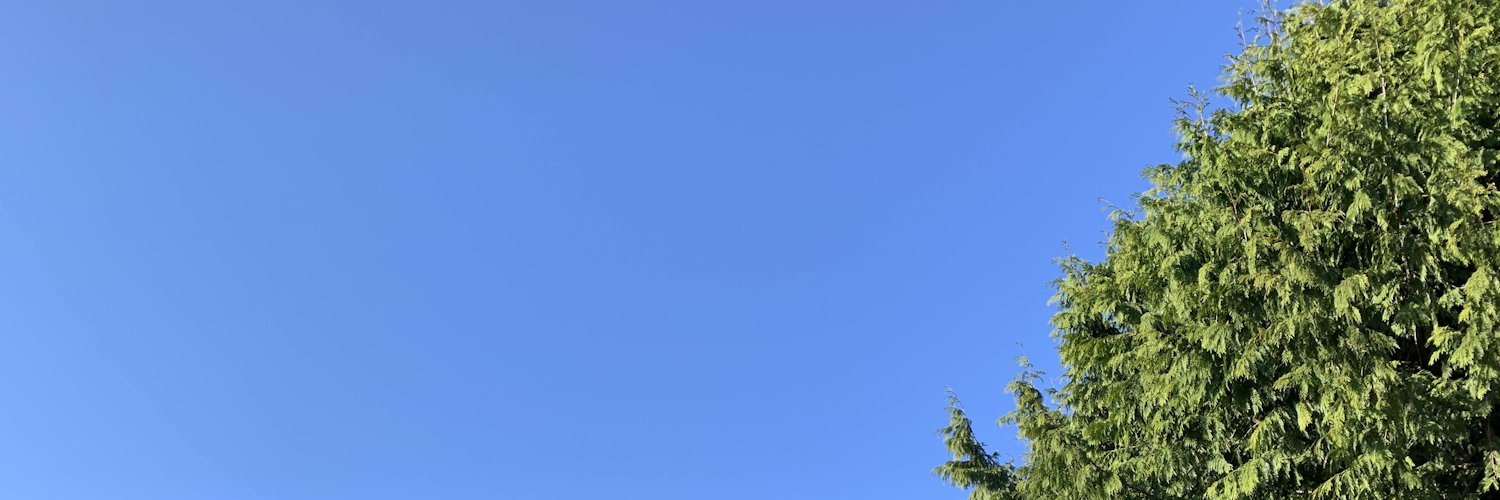 DashingPrune's banner