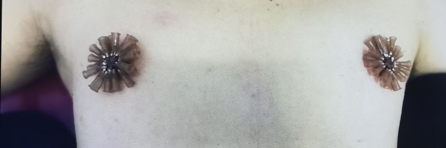 虐乳狂魔's banner