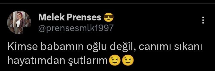 Melek Prenses 😎's banner