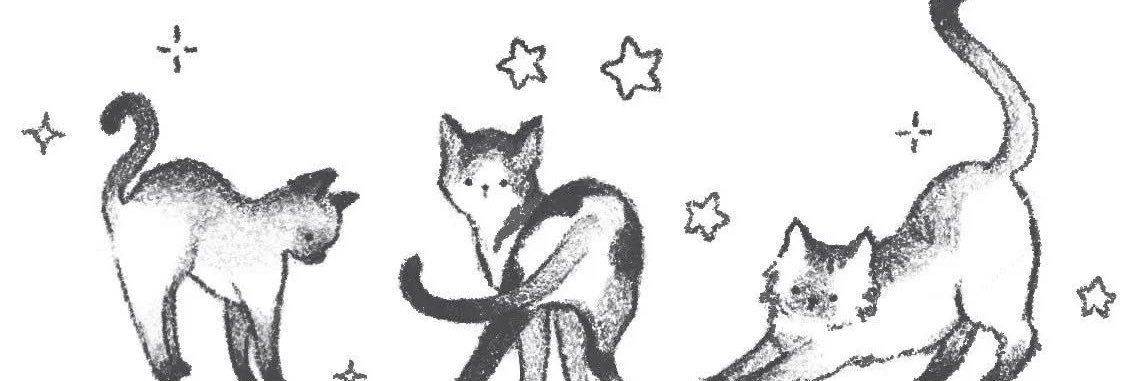 esther ⋆｡𖦹°‧'s banner