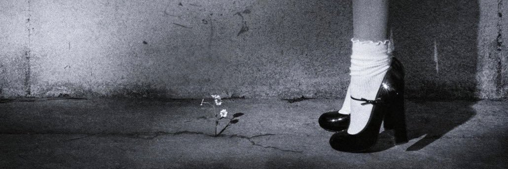 🦋's banner