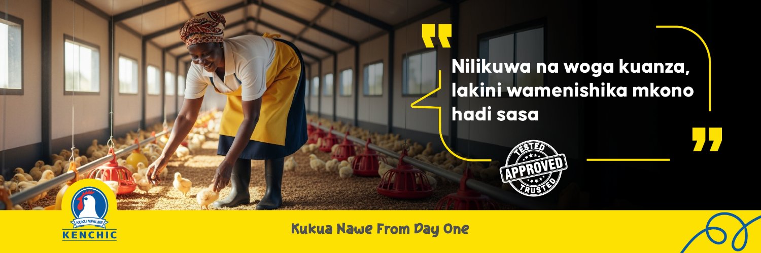 Kenchic Day-Old Chicks's banner