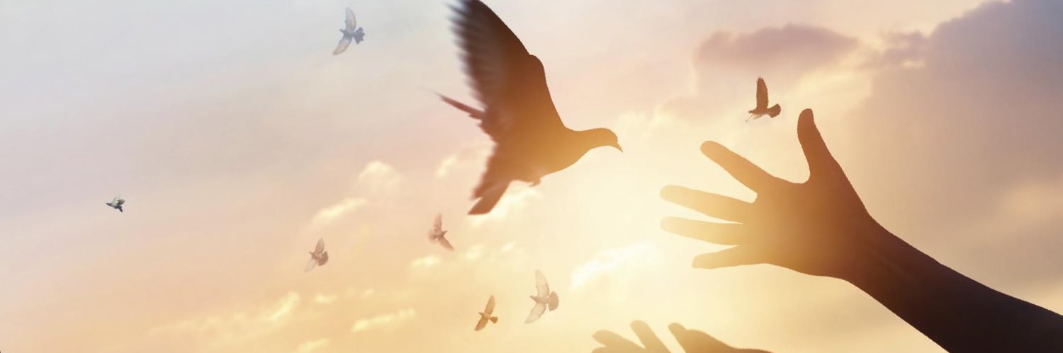 Indignada's banner