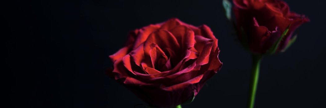 Энхээнэ💍's banner