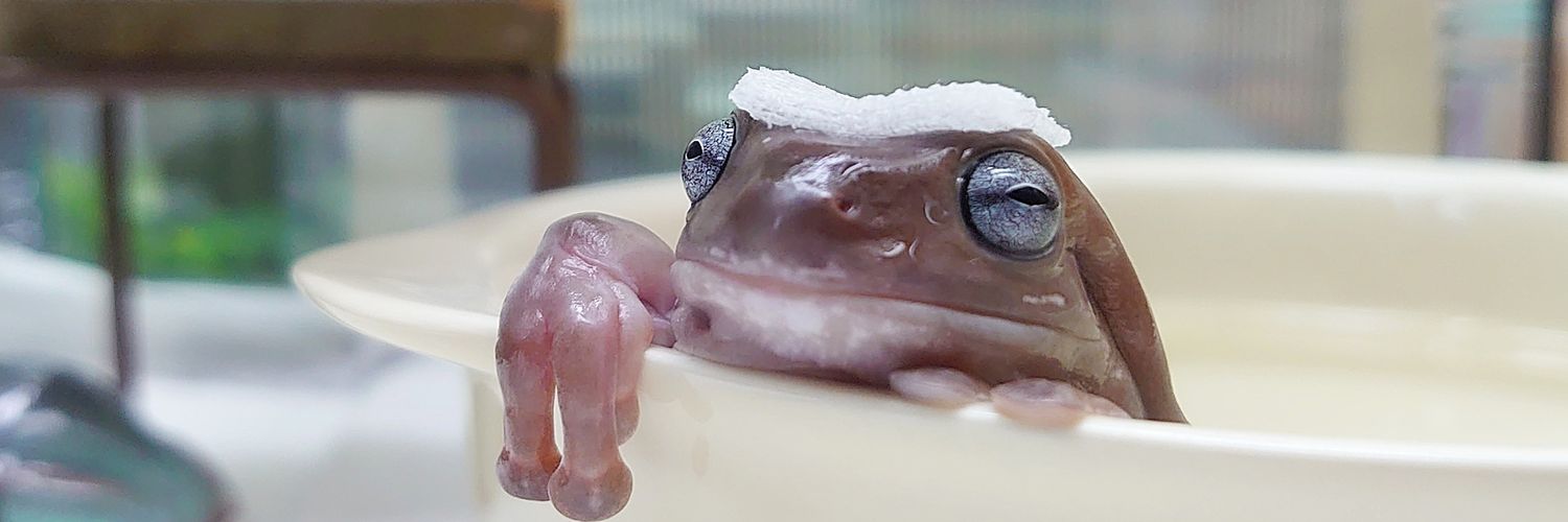 🐸オクラあずきミントあられクッキーココア's banner