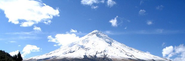 Ecuatorianos Con Memoria's banner