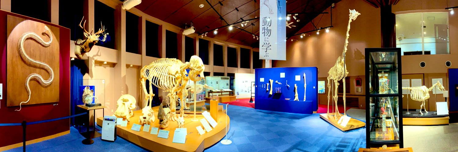 【公式】麻布大学 いのちの博物館's banner