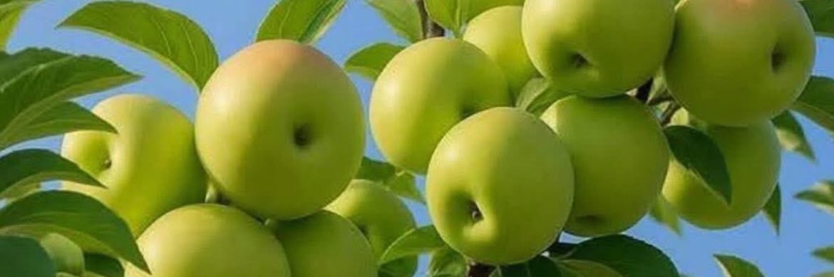 is_bukky 🎀's banner