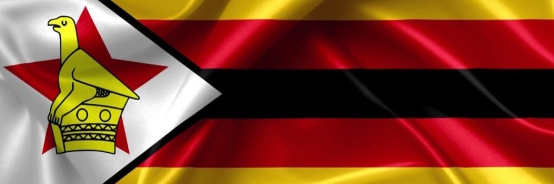 Takudzwa Ngadziore's banner