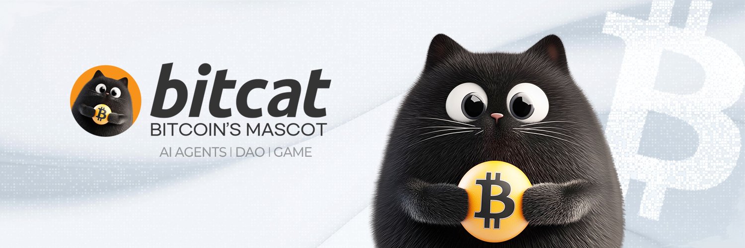 BITCAT - Bitcoin's Mascot's banner