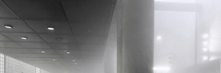 𓆩♱𓆪's banner
