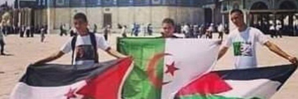 Feïza۞🇫🇷🇩🇿🇪🇭🇵🇸's banner