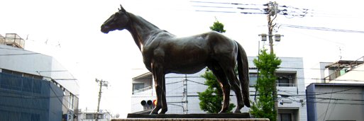 競馬インフォメーションクラブ(個人で運営)'s banner