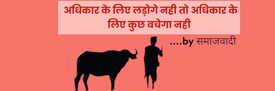 Surya Samajwadi's banner