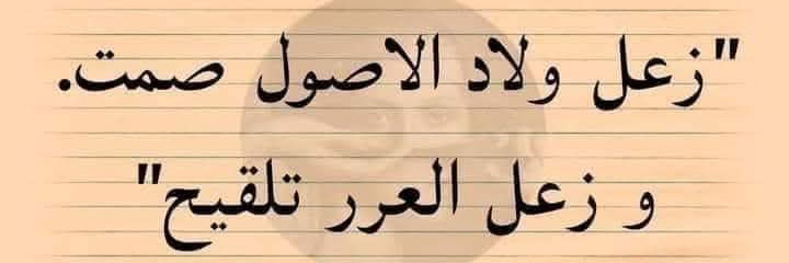 Dalia Hamza's banner