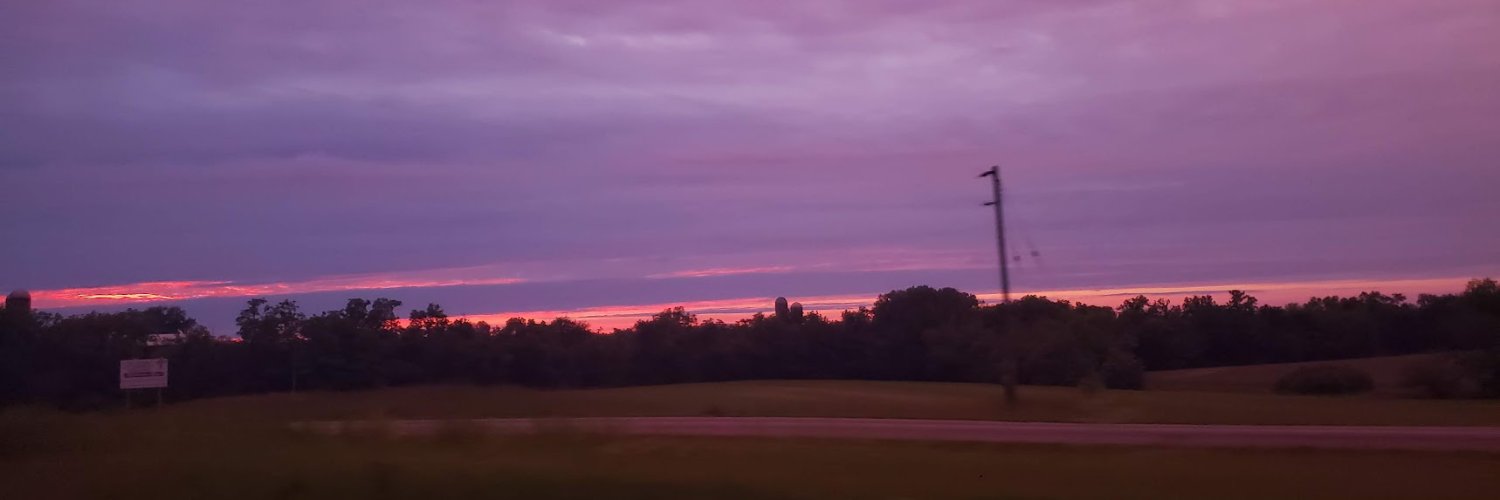 𝙒𝙪𝙡𝙛.'s banner