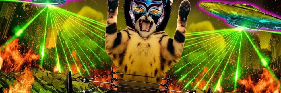 “Lucha Lit” Lince Dorado's banner