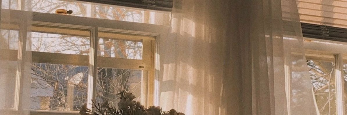 nikki's banner