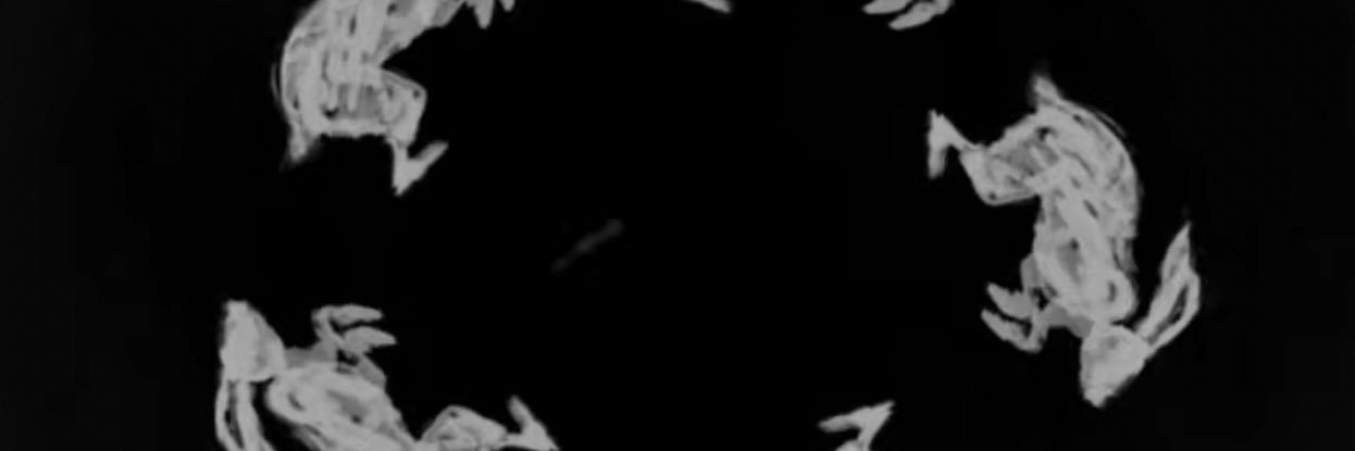 zade 🐈's banner