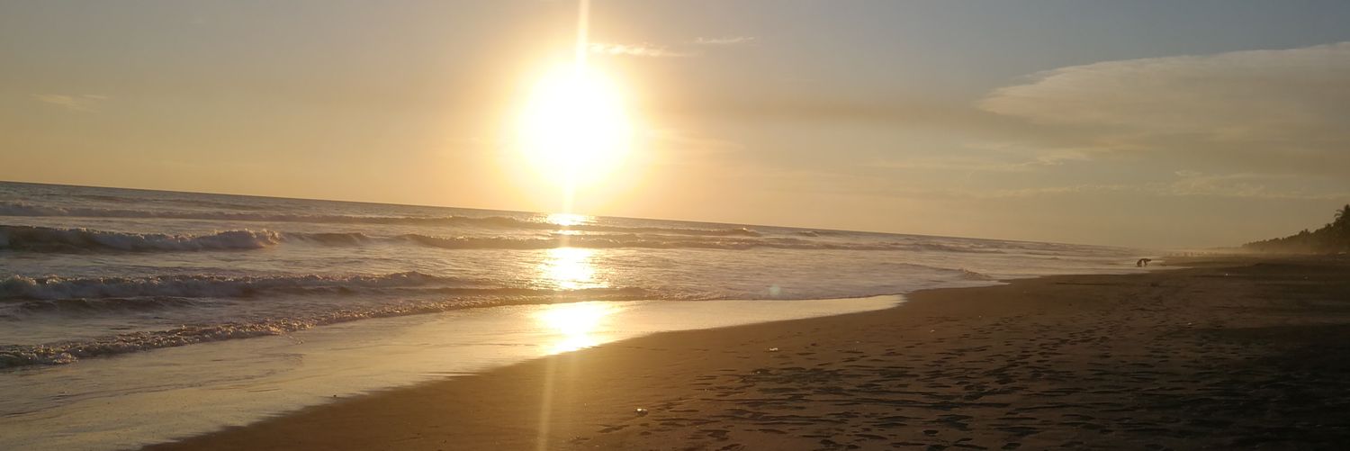 TheRealAmirahDyme's banner