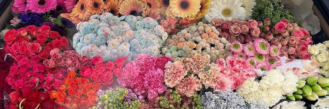 Asa EL-ROI ✨ 🌷💐's banner