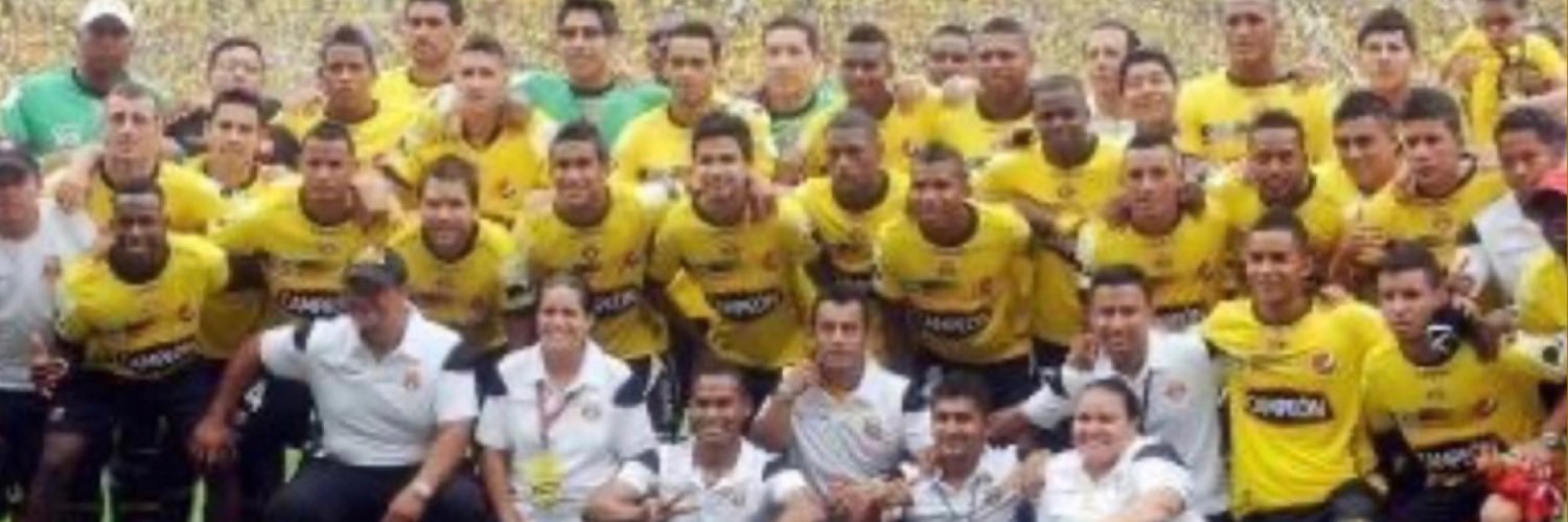 Marlon Enrique (pajaro)'s banner