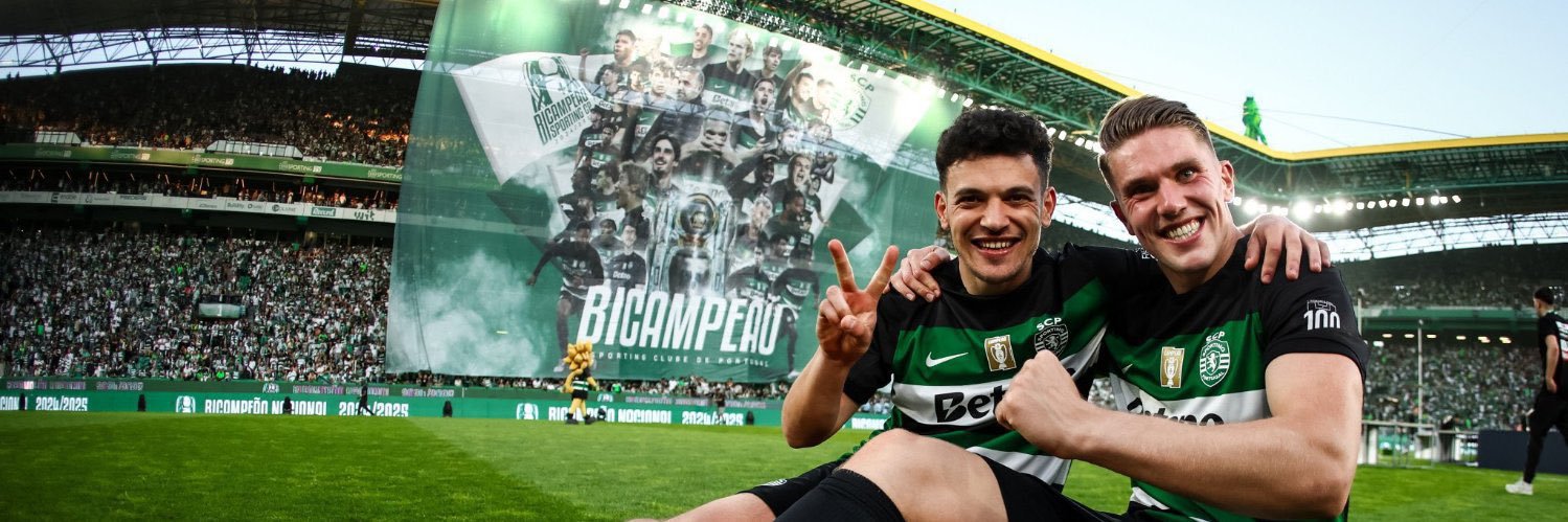 Mariana Vaz Pinto's banner