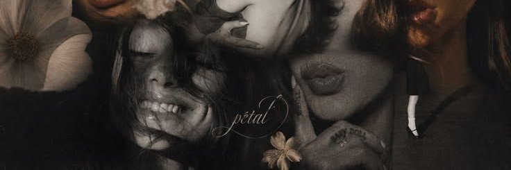 Th da ari 𔓘's banner